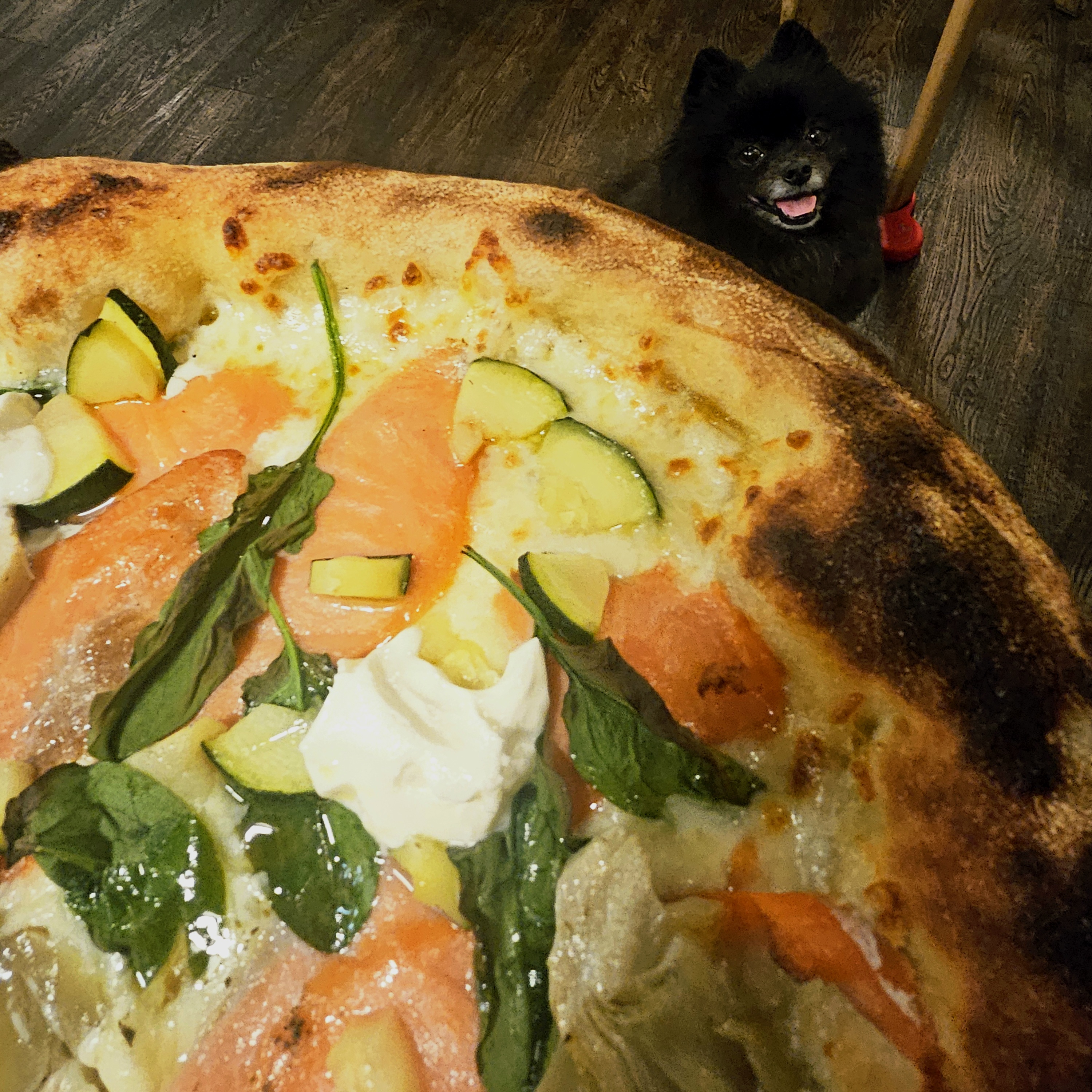Ristorante Primo, photo from a Hauva.club review
